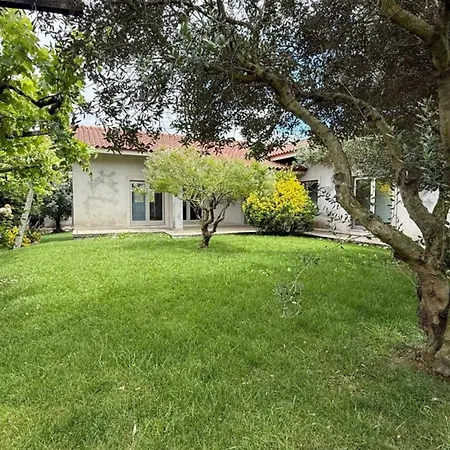 Willa 3 Bedrooms Esposende Terrace *