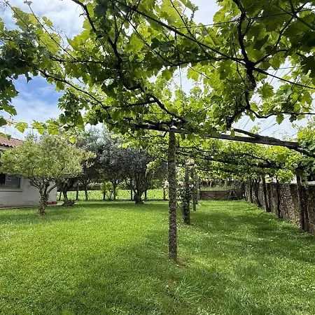 3 Bedrooms Esposende Terrace Willa